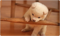 �����L�������₷���ꏊ